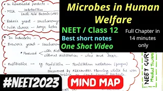 Microbes in Human Welfare Mind map Class 12 NEET CBSE fully NCERT based