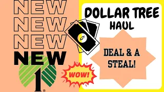 PRICE COMPARING *NEW*  DOLLAR  TREE HAUL  |  NEW WEEK NEW ITEMS | $1.25 | HIDDEN GEMS | JACKPOT |