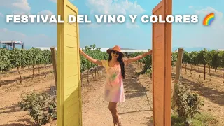 FESTIVAL del VINO y COLORES 🍷🌈| Viñedos La Redonda 🍇| Vlog Tequisquiapan Querétaro 📍