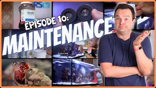 Keep It CLEAN! A Beginner’s Guide to Saltwater Aquarium Maintenance. EP: 10