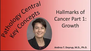 Medical School Pathology: Hallmarks of Cancer Part 1: Growth