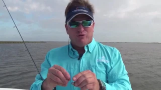 Rig live shrimp this way to catch more fish