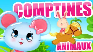 Comptines pour Bébés | Touni fait du cheval | Titounis Animaux