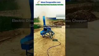 Electric Diesel Chaff Cutter Grass Chopper Silage Making Machine#Shorts