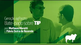 Geração agPastto: TIP (Terminação Intensiva a Pasto)