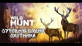 Wild Hunt: Sport Hunting | симулятор охоты !!! СУРОВЫЕ БУДНИ ОХОТНИКОВ !!!