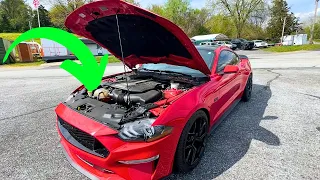 AVOID This MOD On Your Mustang GT So You Don't LOSE HORSEPOWER!