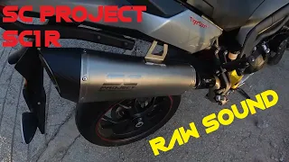 Sc project | RAW sound | Triumph Tiger 1050 Sport [4K]