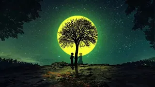 Alan Walker Mix - Love Tree Night Walker Style