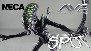 Toy Spot - NECA AVP Grid Alien