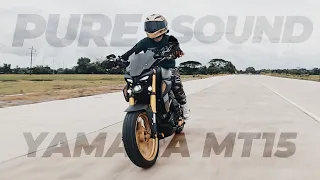 Pure Sound Yamaha MT-15 - Stock Exhaust - Rider POV