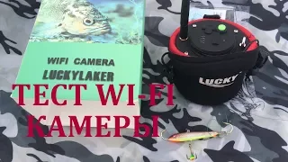Тест WI FI камеры LUCKYLAKER FF 33 09