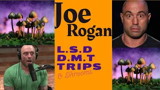 JOE ROGAN| 30 min of L.S.D, MUSHROOMS & D.M.T