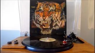 Tiger - Lay Me / Ticket Machine (Vinyl) - Sota Sapphire Turntable