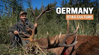 STAG CULTURE GERMANY 💥 BIGGEST STAG I have EVER SEEN 💥 HUNTING RED DEER RUT🌿 WAIDDMANSHEIL 🌿