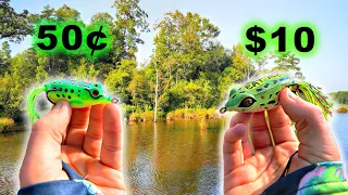 Cheap TEMU Frog VS Expensive GOOGAN Frog (Which Is Better?)