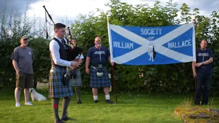 The Flower of Scotland - a white rose for Wallace