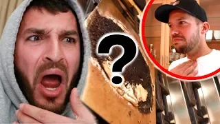 WE FOUND THIS LIVING IN OUR HOUSE!!