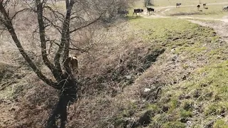 ЗАЧЕМ Я ЭТО СДЕЛАЛА И КОГДА ВСЕ ЗАКОНЧИТСЯ!