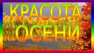 Позитив  Красота Осени Золотая осень чудной красоты Красивые поздравления друзьям Красивая открытка