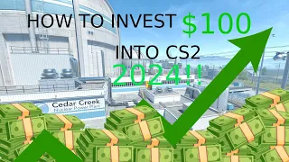 How to invest $100 into CS2 2024!!