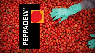 Peppadew corporate video