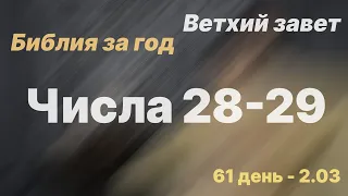 Библия за год | день 61 | Числа 28-29 главы | план чтения Библии 2022