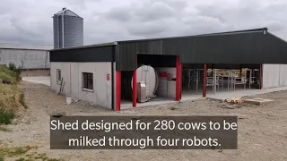 Shed designed to milk 280 cows through four Lely robots