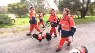 Family's Plea | 9 News Perth