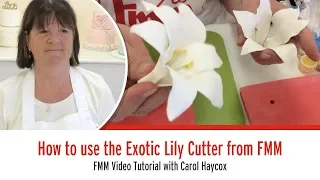 FMM Exotic Lily Cutter Set