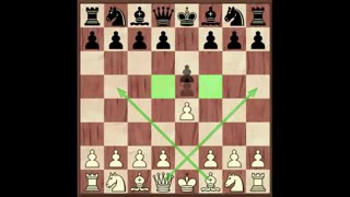 Основы шахматной игры  Часть 1   Основы дебюта