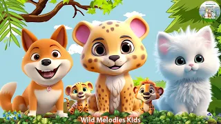 Cute Little Farm Animal Sounds: Kitten, Lion, Rabbit, Dog - Animal sounds