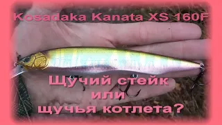 ФишКомм Шоп: воблер Kosadaka Kanata XS 160F. Щучий стейк или щучья котлета?