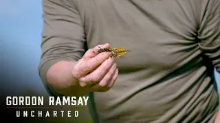 Gordon Ramsay Is Shocked At the Size Of Termites In Laos | Gordon Ramsay: Uncharted