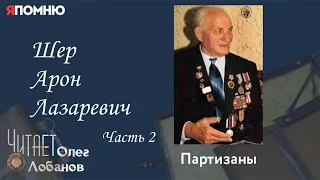 Шер Арон Лазаревич. Часть 2. Проект "Я помню" Артема Драбкина.  Партизаны