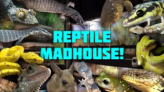 MEGA Australian Reptile Room / Home Tour February 2023! 🇦🇺