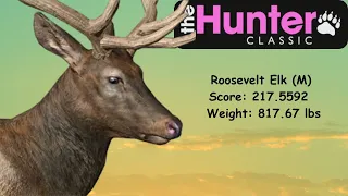 The Hunter Classic | Roosevelt Elk Gameplay | Score: 217.5592