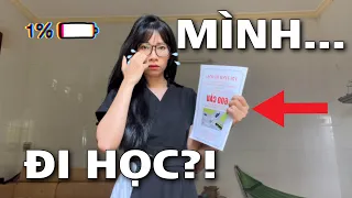 MÌNH ĐÃ LẤY HẾT CAN ĐẢM ĐỂ ĐĂNG KÍ HỌC BẰNG LÁI XE Ô TÔ HẠNG B2… ( học phí 17 tr… omg 😨)