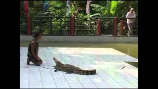 Шоу крокодилов, Самуи, Тайланд/ Crocodile Show, Koh Samui, Thailand