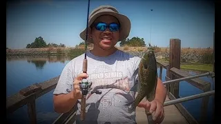 Fishing for Bluegill and Bass At California Delta