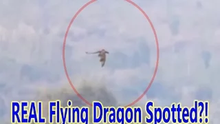 Mysterious Dragon Filmed FLYING Over Moutains in China