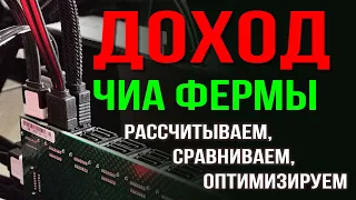 Доход чиа фермы: рассчитываем, сравниваем, оптимизируем