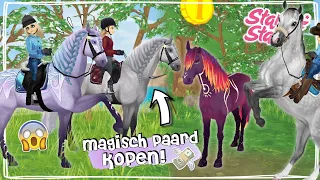 10.000 STAR COINS + NIEUW MAGISCH PAARD KOPEN! 🤩 - Update | Star Stable Online | Daphne draaft door