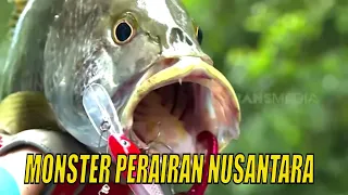 MONSTER PERAIRAN NUSANTARA | JEJAK PETUALANG (13/11/21)