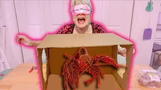 What's In THE BOX Challenge with Grandma!! (freakout)