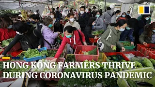 Business booms for Hong Kong farmers as coronavirus drives up prices for mainland China produce