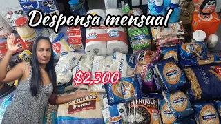 DESPENSA MENSUAL WALMART