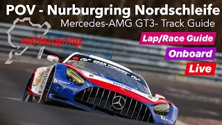 POV - Nordschleife Mercedes-AMG GT3 Race car laps