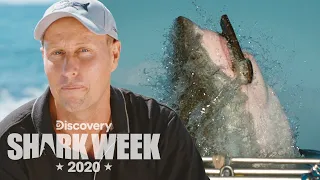 Filming the Legendary Hornet Breach | Shark Week