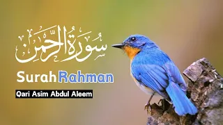 Surah Rahman | Beautiful Voice | Qari Asim Abdul Aleem | Quran Recitation #surat_al #quran #surah